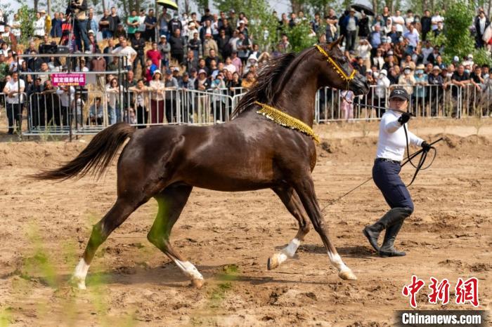 河北石家庄无极县太极湖畔：驭见无极速度赛点